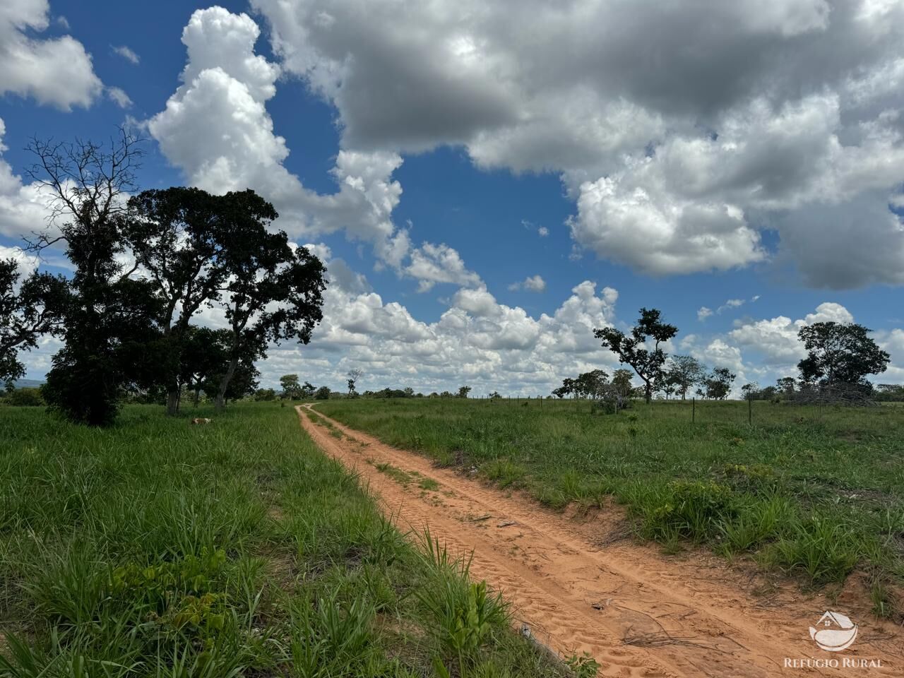 Fazenda à venda com 2 quartos, 19360000m² - Foto 25