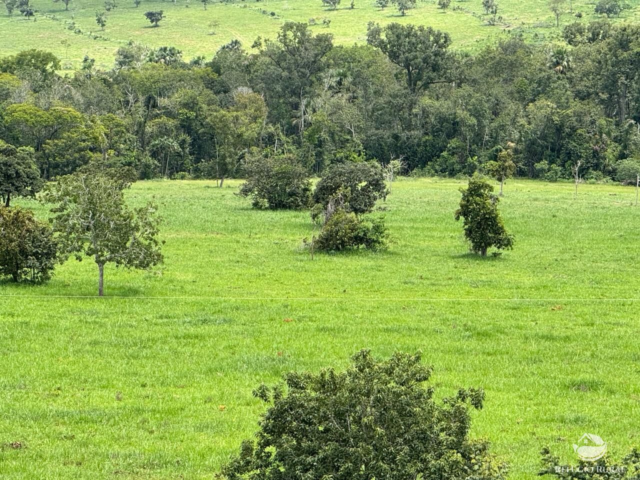 Fazenda à venda com 2 quartos, 19360000m² - Foto 23