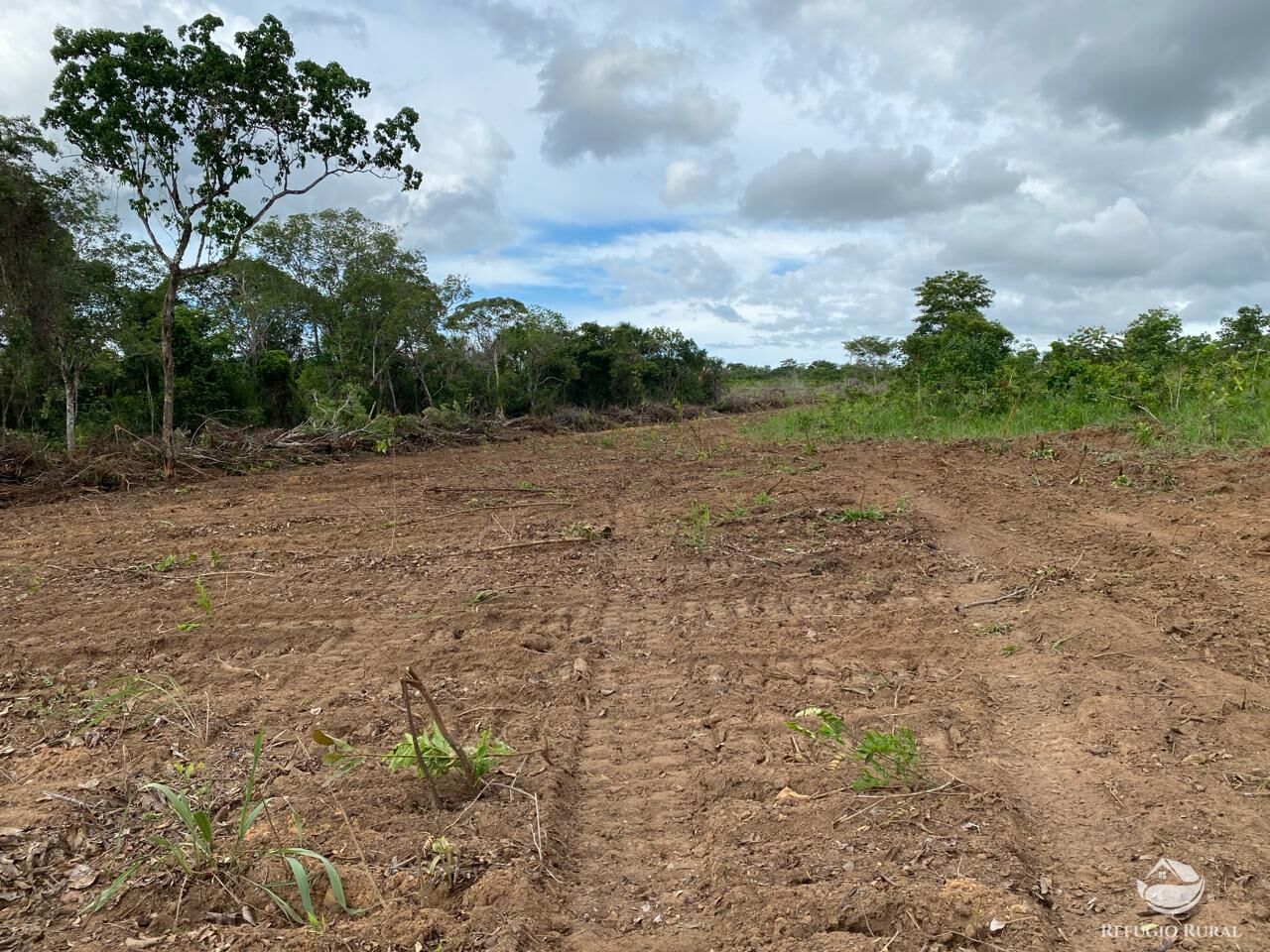 Fazenda à venda com 2 quartos, 19360000m² - Foto 4