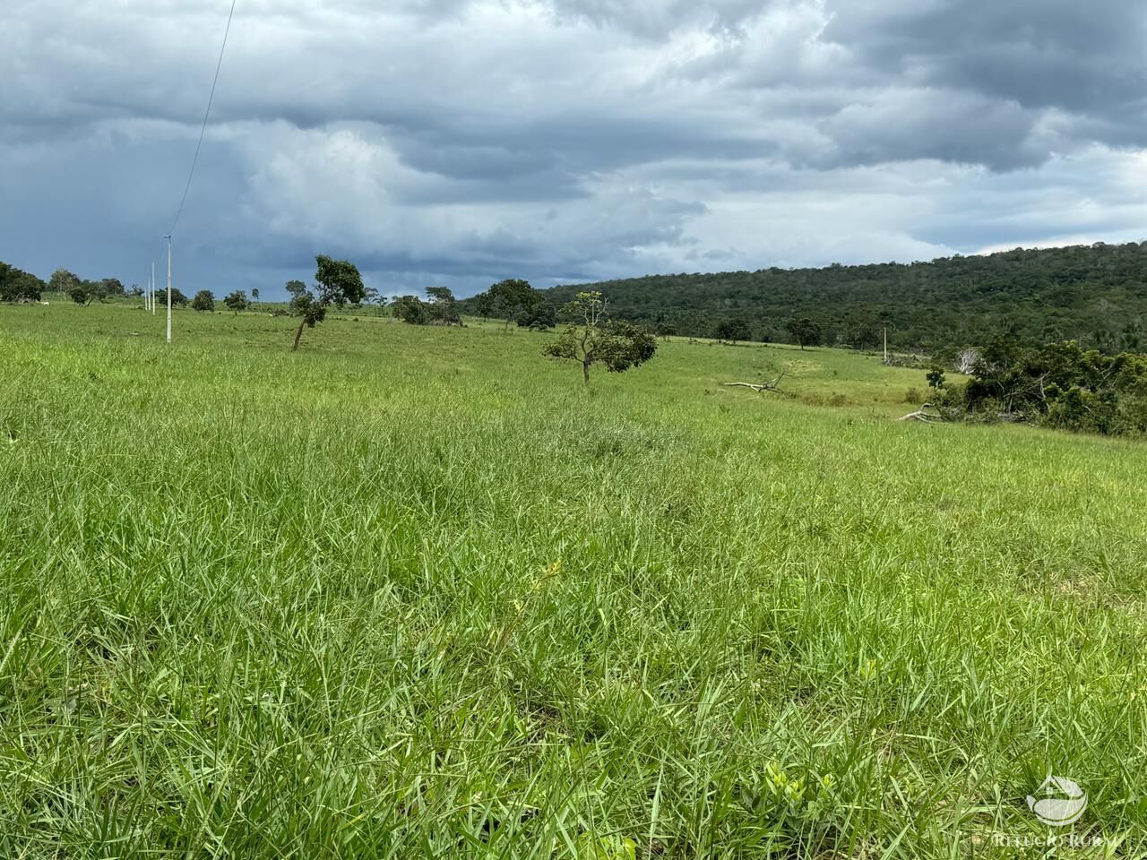 Fazenda à venda com 2 quartos, 19360000m² - Foto 19