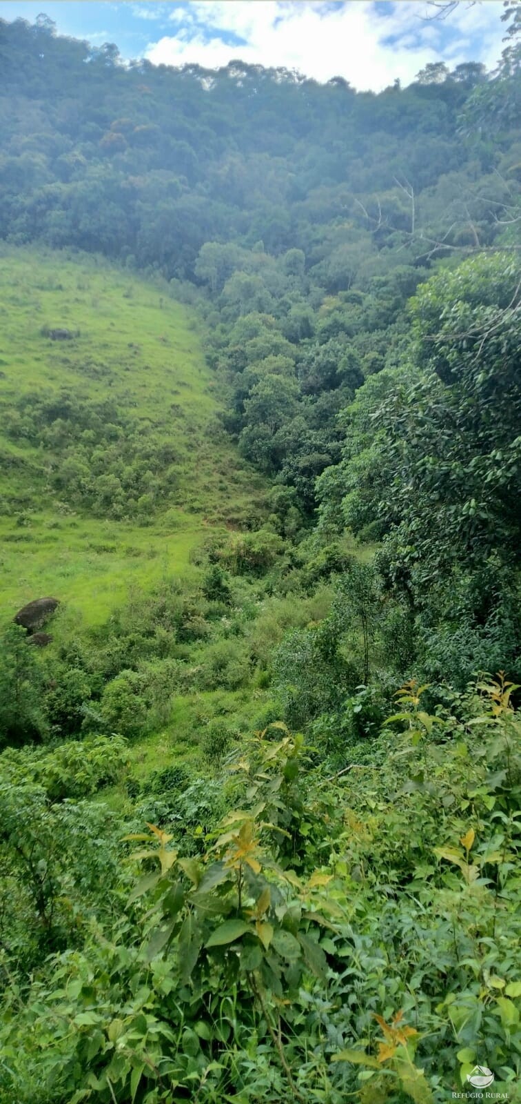 Fazenda à venda com 1 quarto, 142700m² - Foto 36