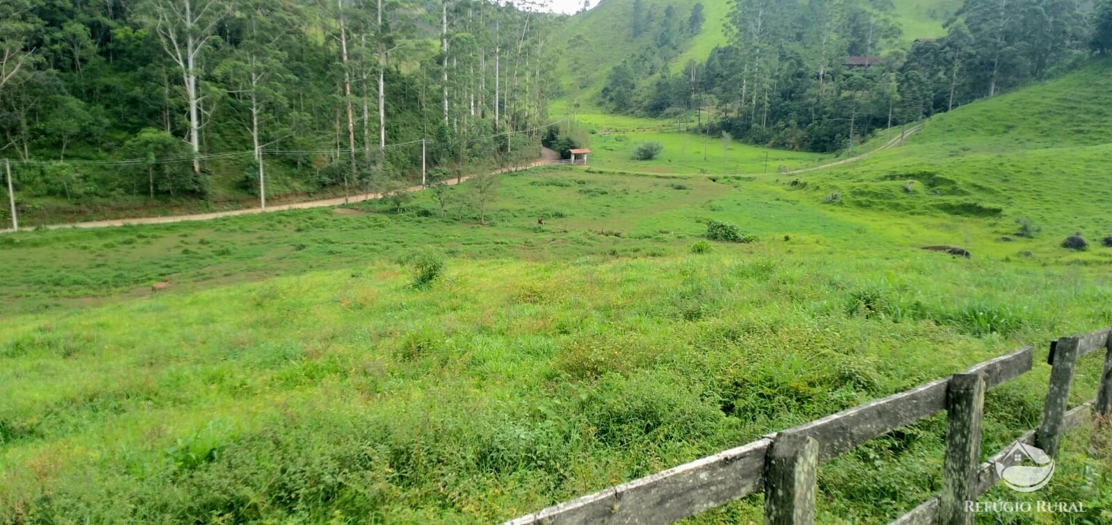 Fazenda à venda com 1 quarto, 142700m² - Foto 33