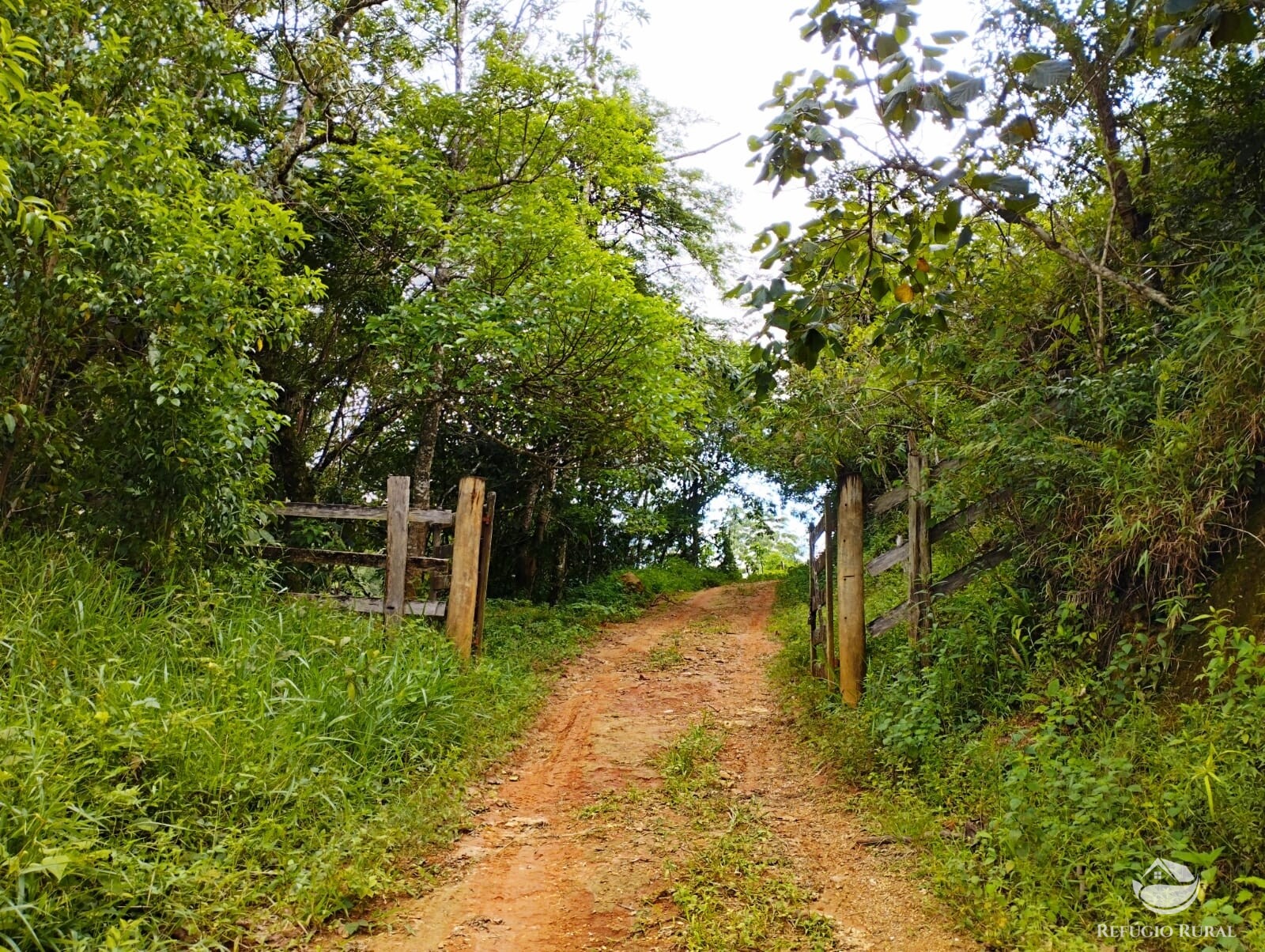 Fazenda à venda com 1 quarto, 142700m² - Foto 23