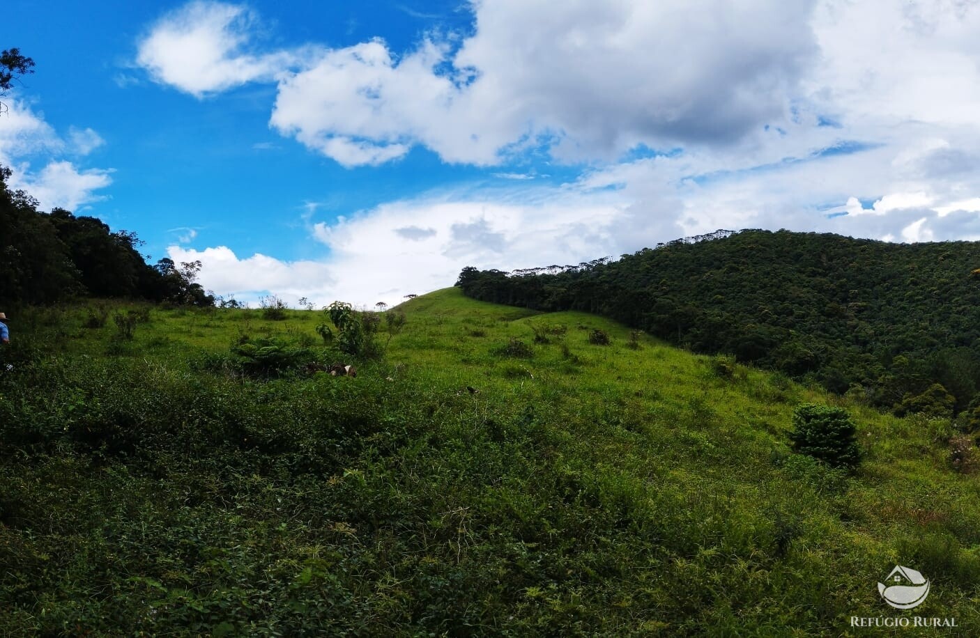 Fazenda à venda com 1 quarto, 142700m² - Foto 17