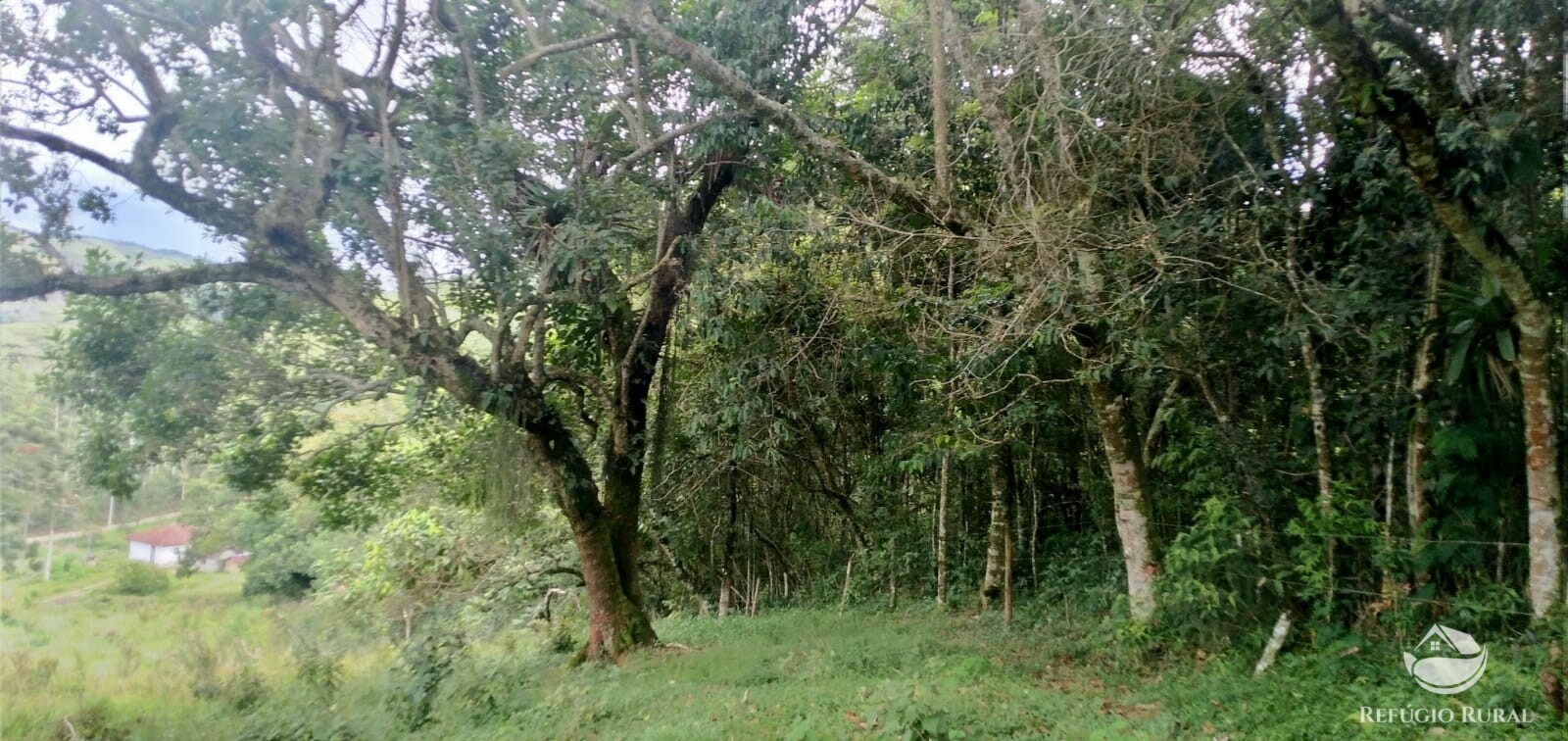 Fazenda à venda com 1 quarto, 142700m² - Foto 38