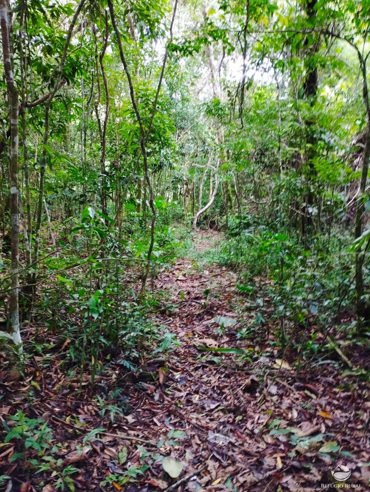 Fazenda à venda com 1 quarto, 142700m² - Foto 19