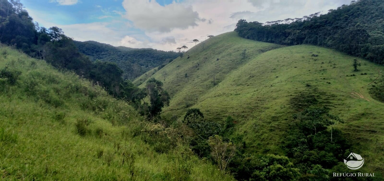 Fazenda à venda com 1 quarto, 142700m² - Foto 40