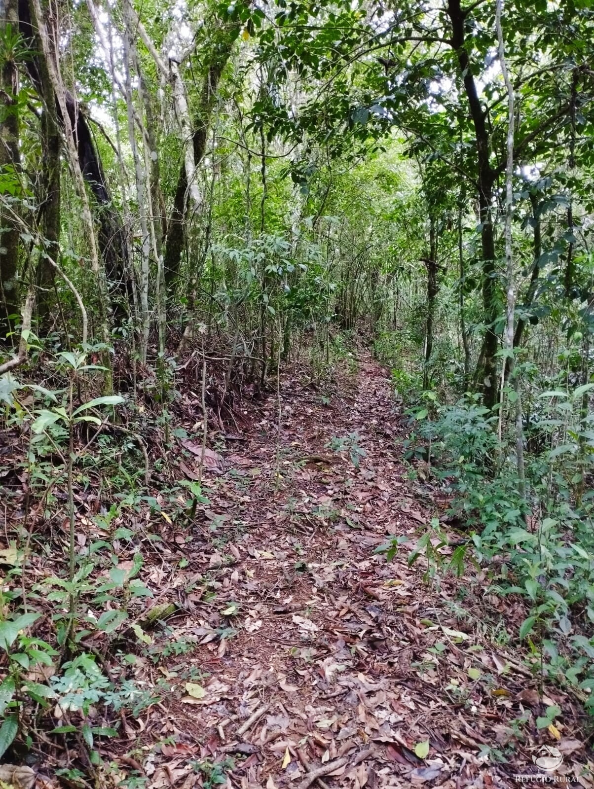 Fazenda à venda com 1 quarto, 142700m² - Foto 21