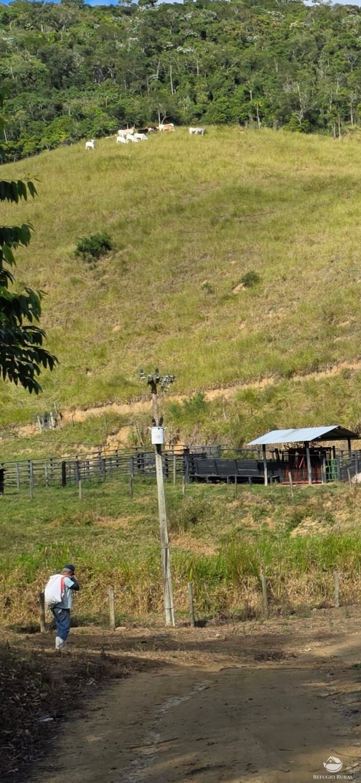 Fazenda à venda com 2 quartos, 2081200m² - Foto 12