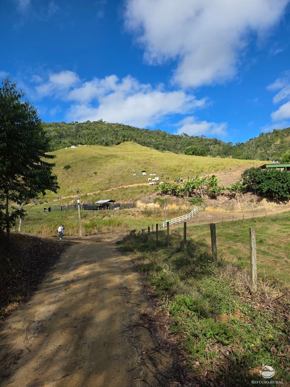 Fazenda à venda com 2 quartos, 2081200m² - Foto 2