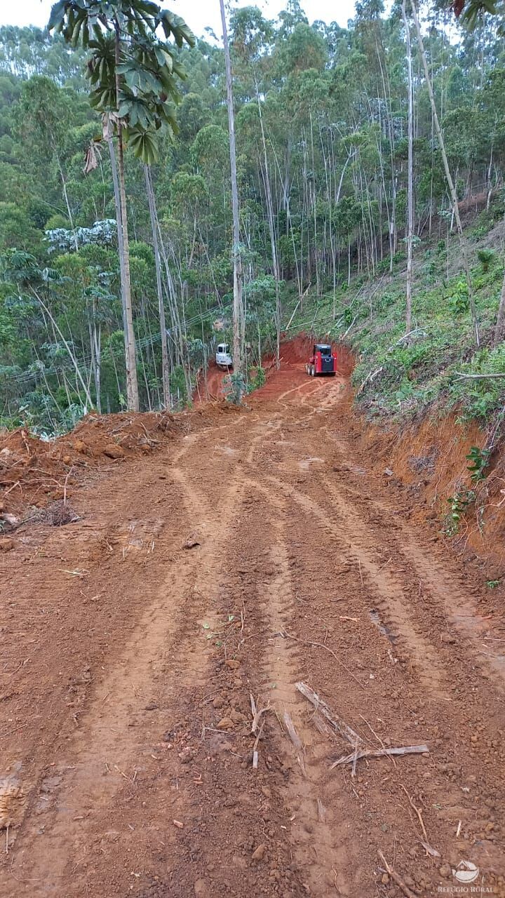 Terreno à venda, 22000m² - Foto 7