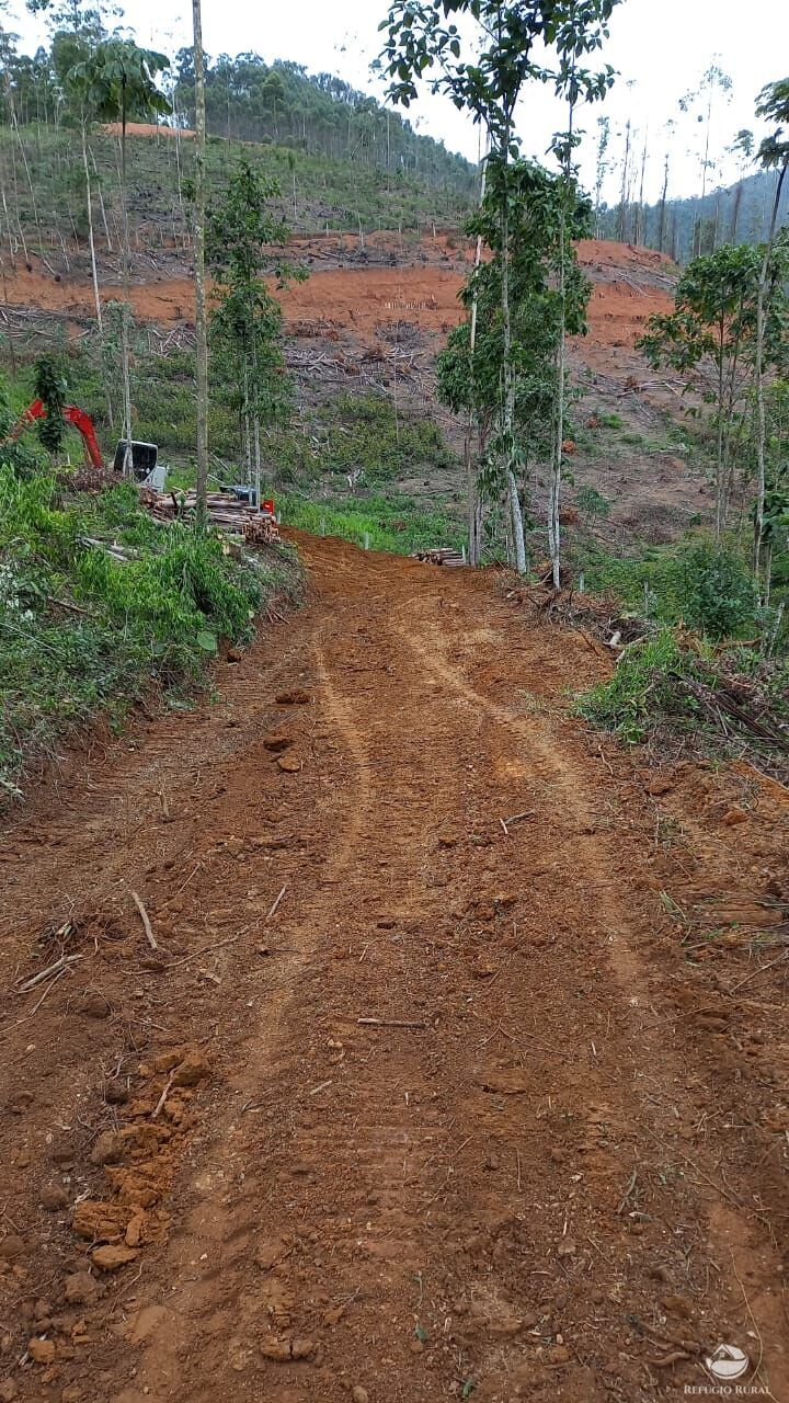 Terreno à venda, 22000m² - Foto 13