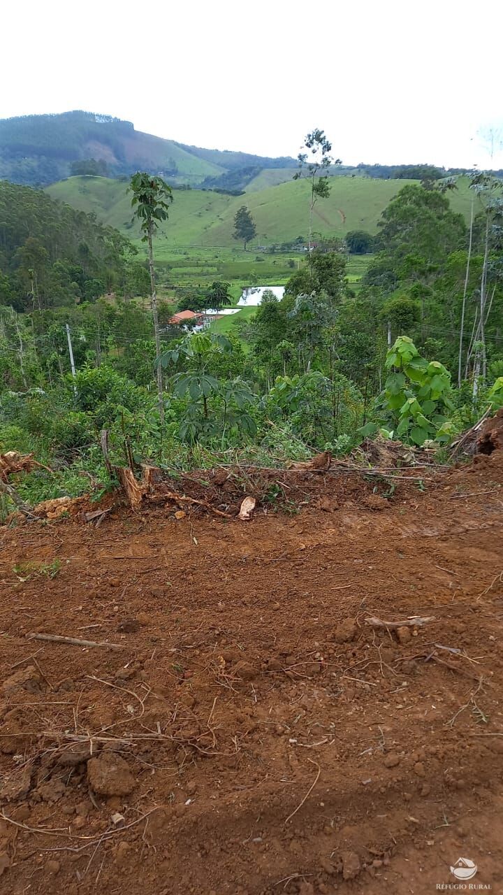 Terreno à venda, 22000m² - Foto 6