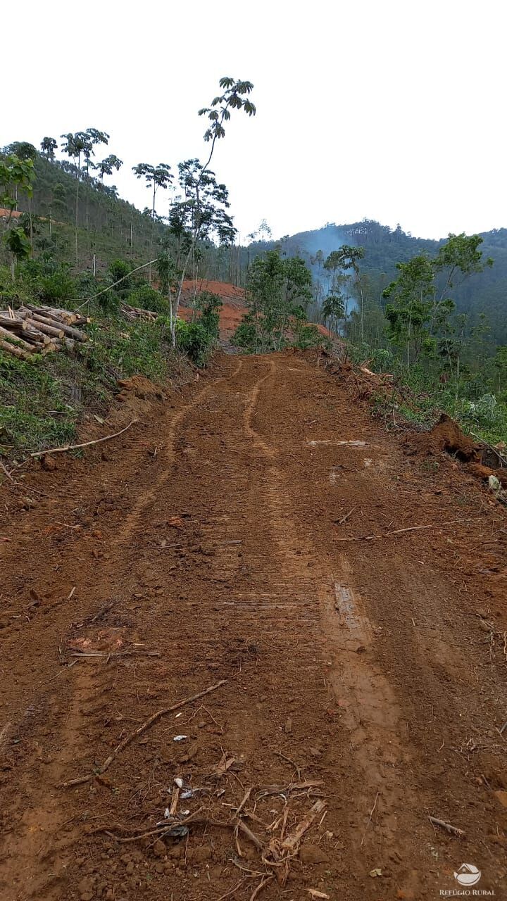 Terreno à venda, 22000m² - Foto 3