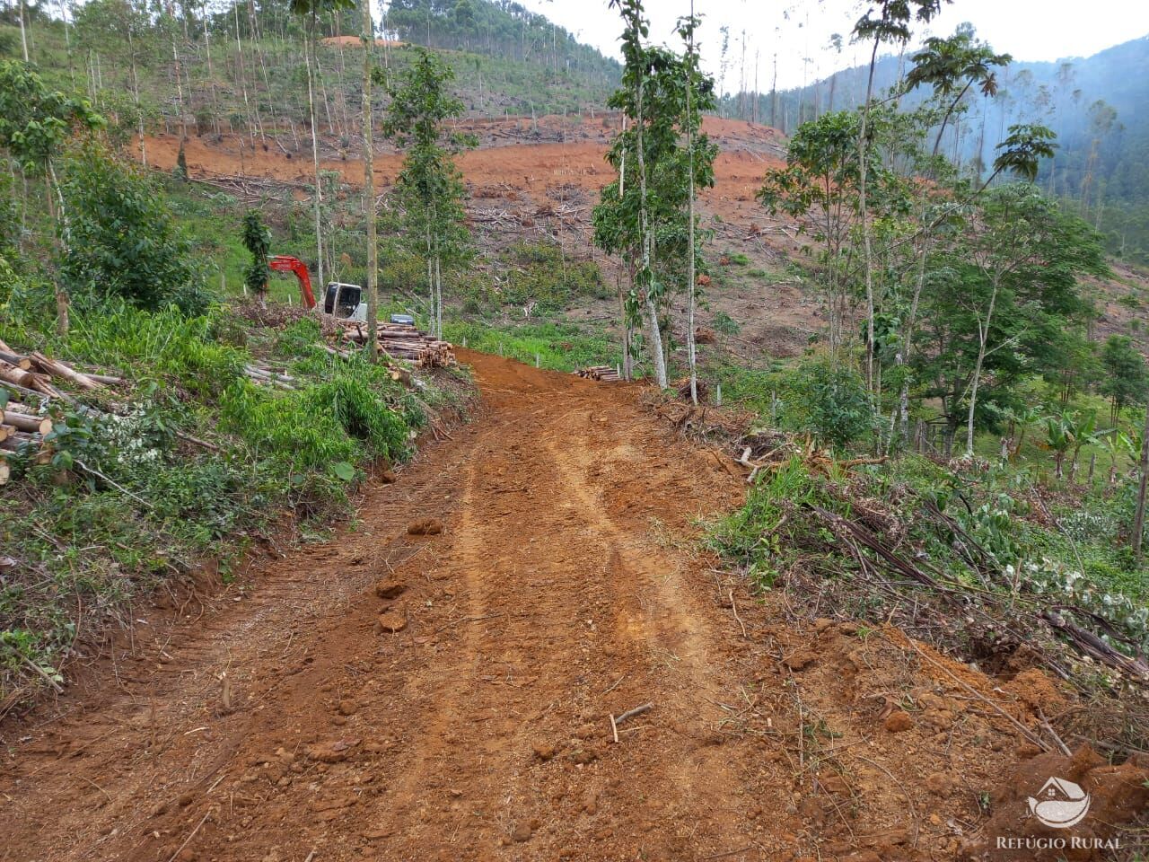 Terreno à venda, 22000m² - Foto 11