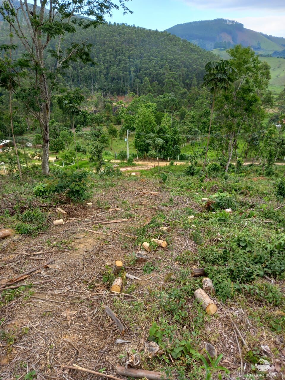 Terreno à venda, 22000m² - Foto 1