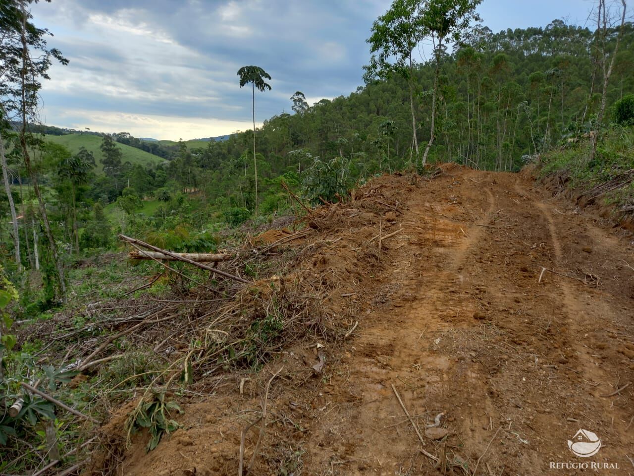 Terreno à venda, 22000m² - Foto 12