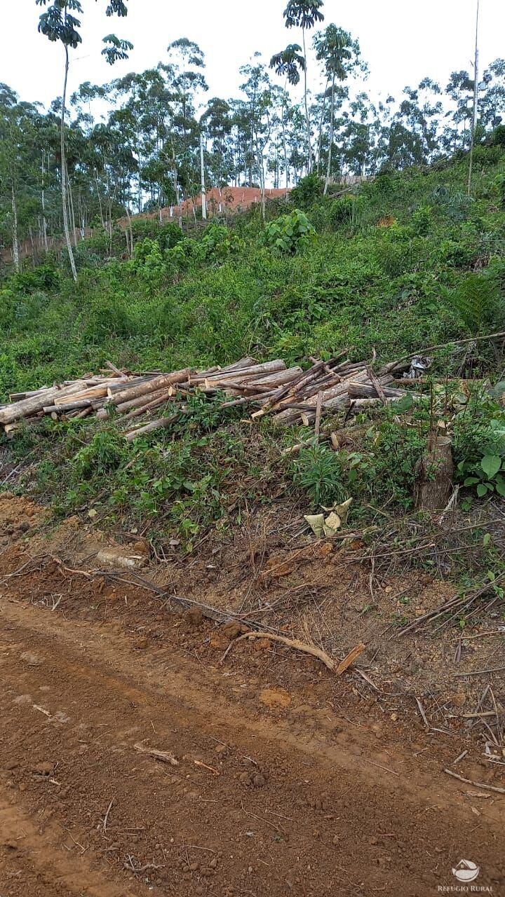 Terreno à venda, 22000m² - Foto 5