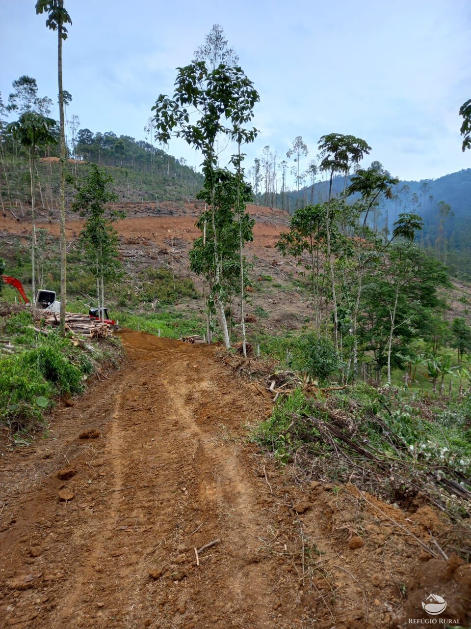 Terreno à venda, 22000m² - Foto 2