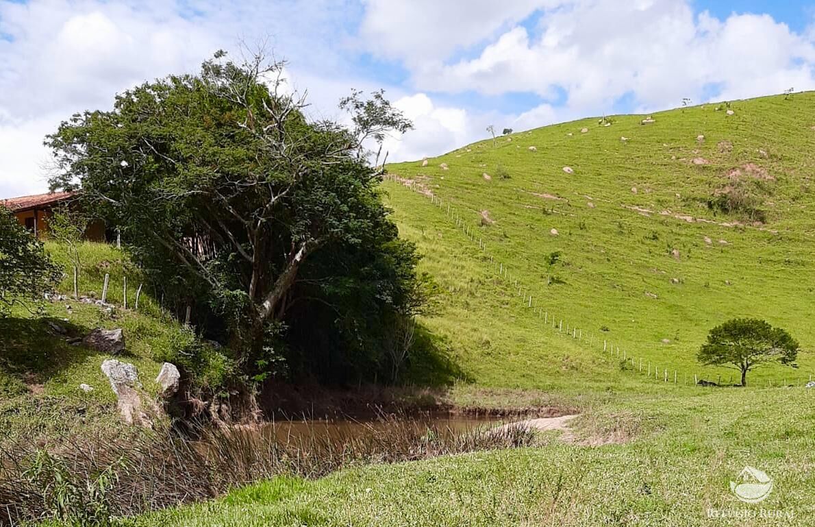 Fazenda, 150 hectares - Foto 10