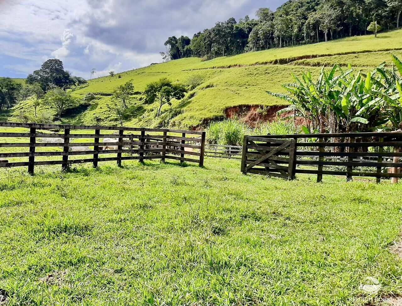 Fazenda, 150 hectares - Foto 8