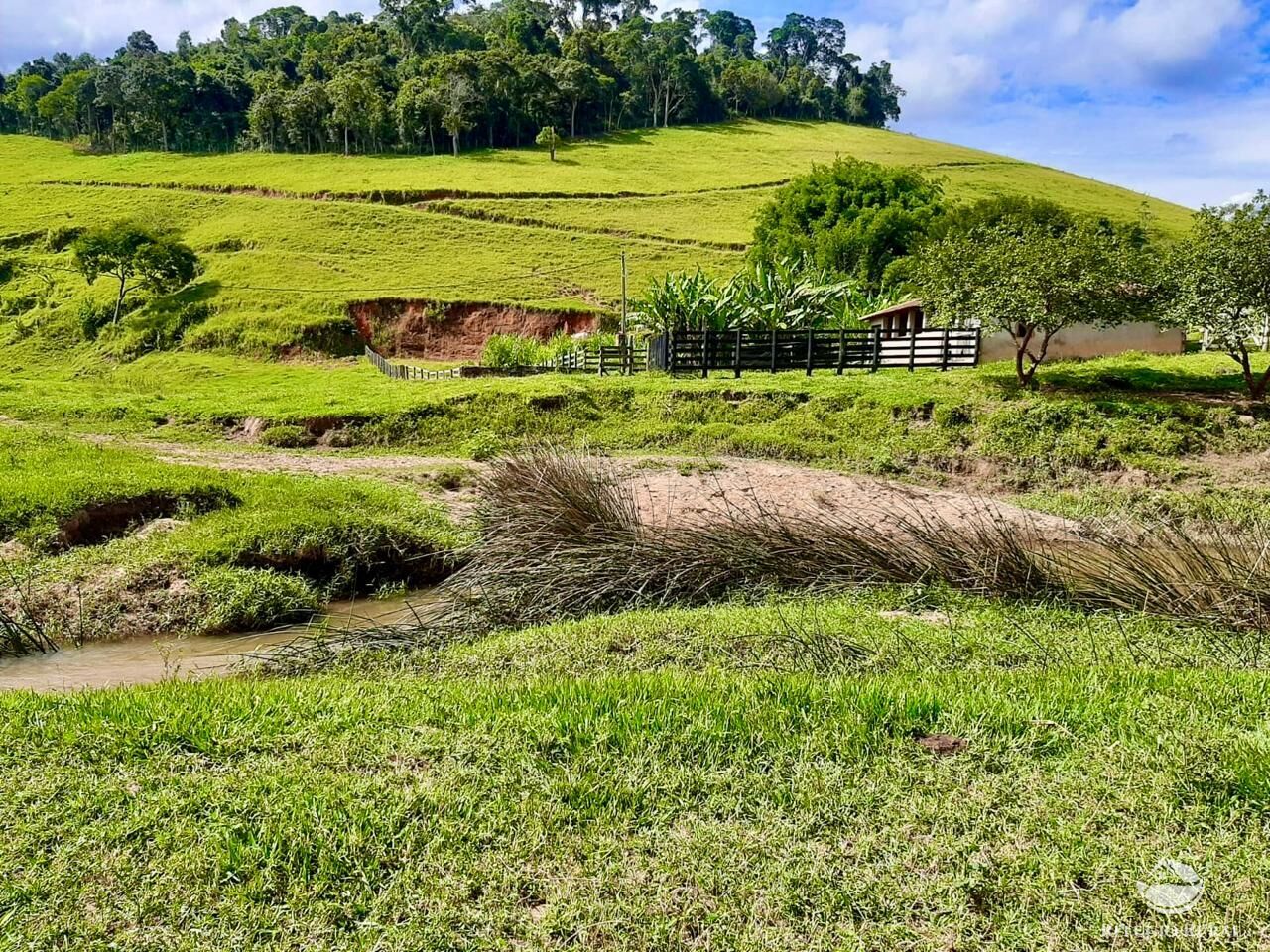Fazenda, 150 hectares - Foto 7