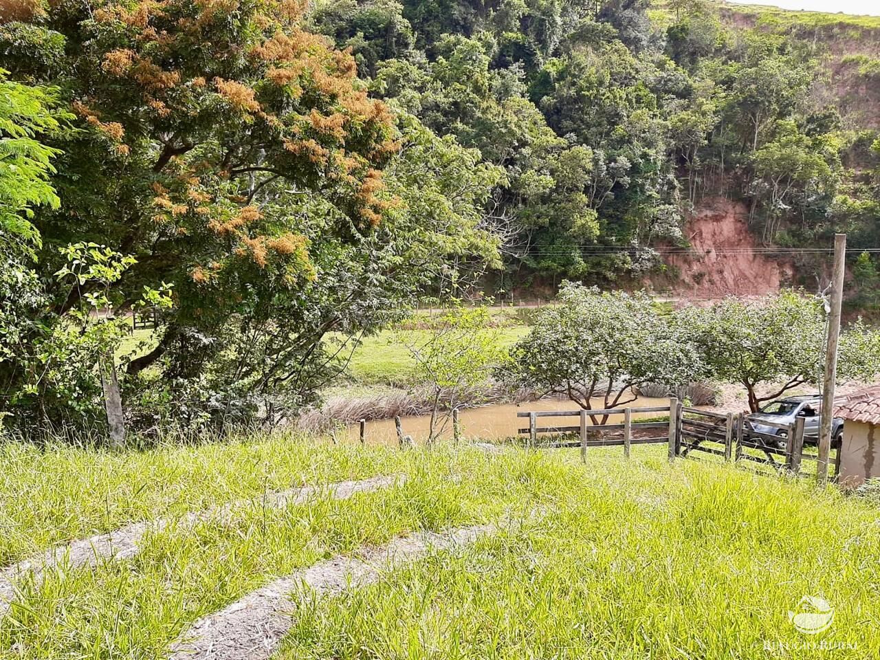 Fazenda, 150 hectares - Foto 17