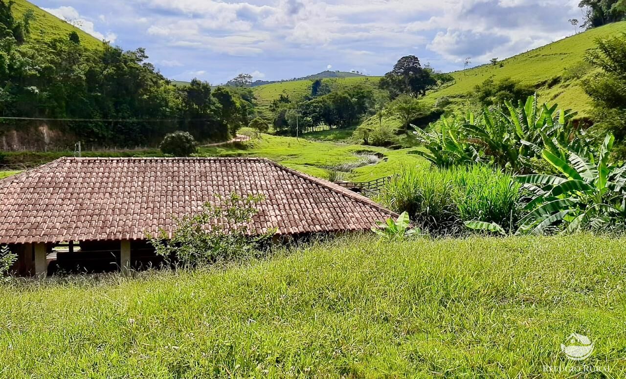 Fazenda, 150 hectares - Foto 6