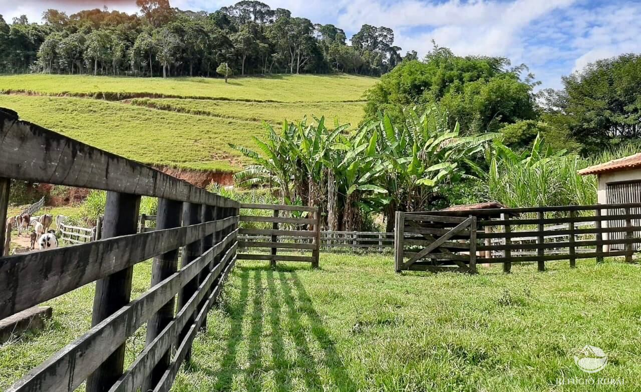 Fazenda, 150 hectares - Foto 11