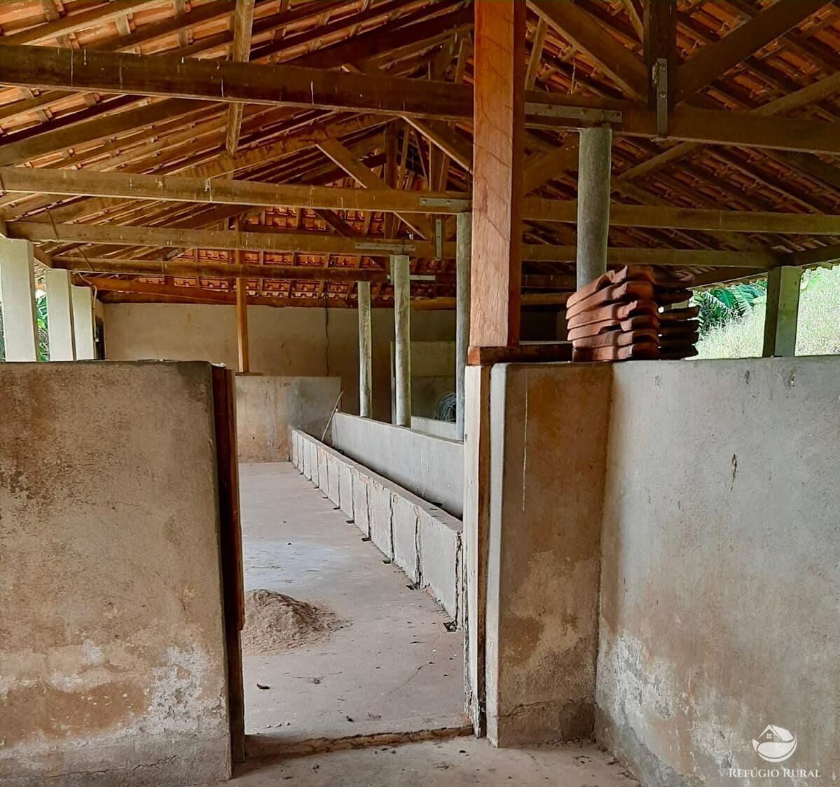 Fazenda, 150 hectares - Foto 12