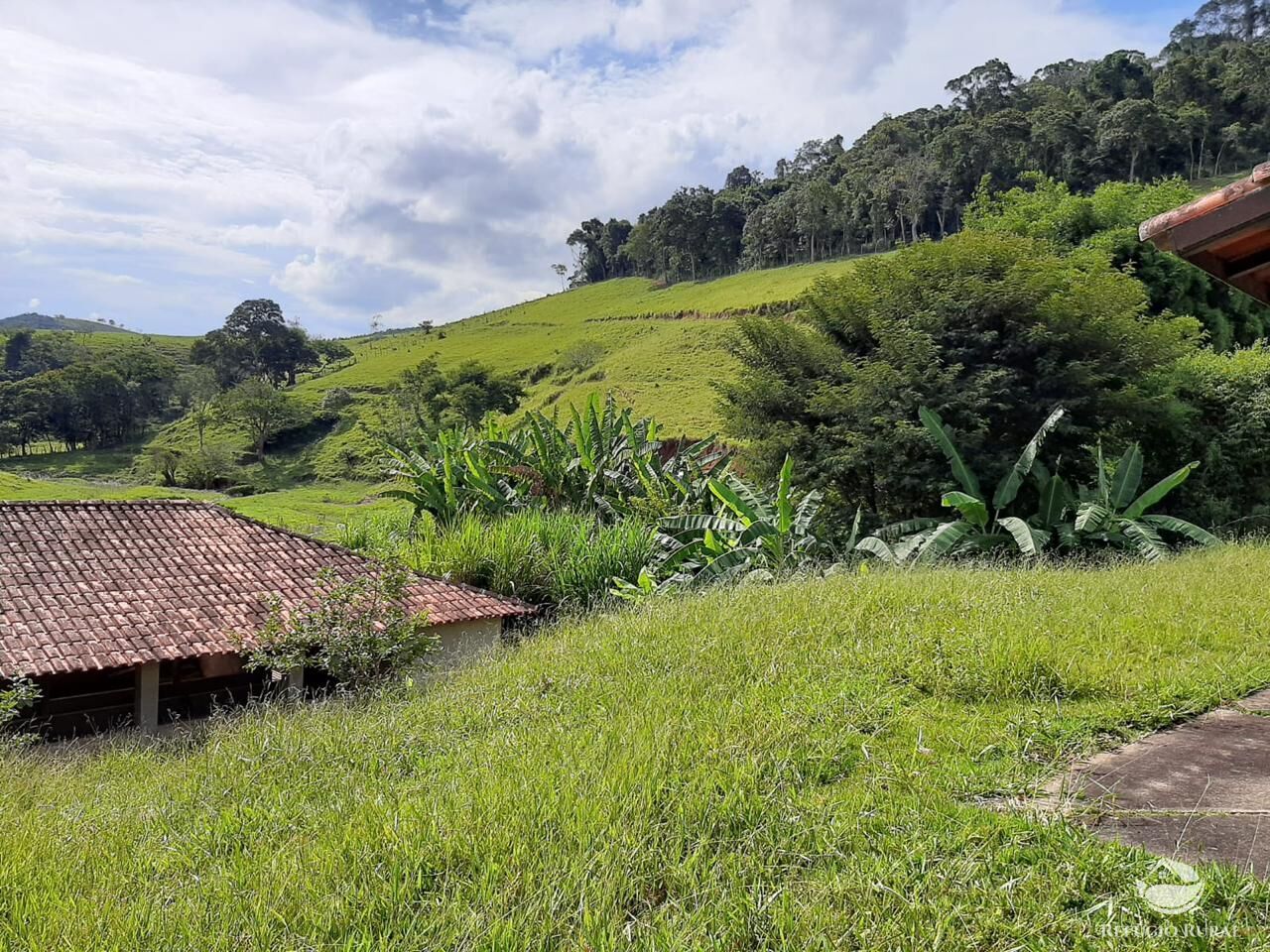 Fazenda, 150 hectares - Foto 16