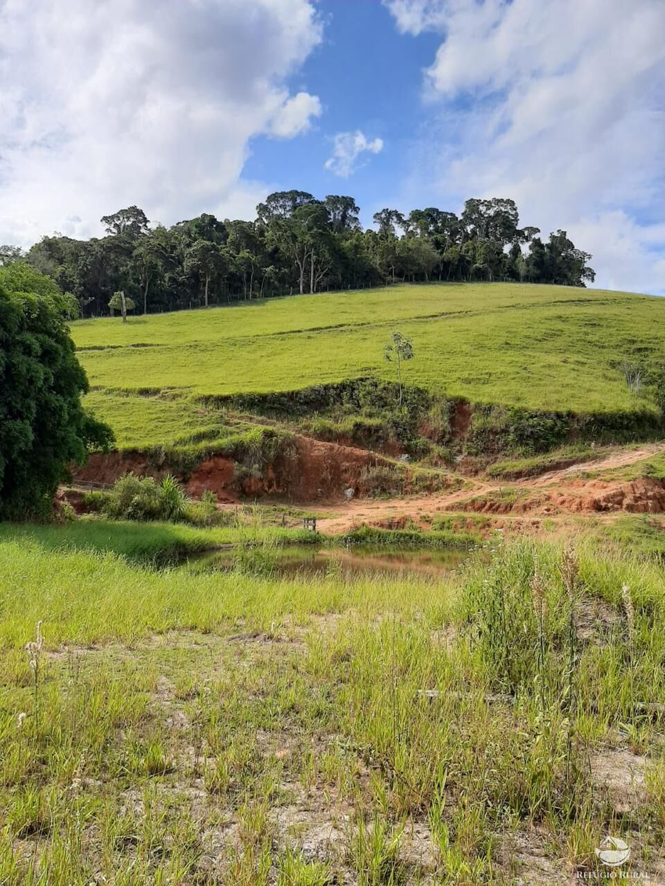 Fazenda, 150 hectares - Foto 9