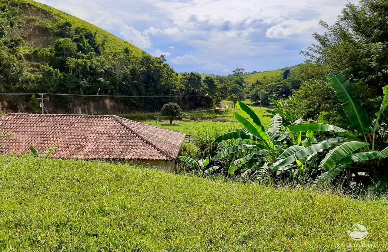 Fazenda, 150 hectares - Foto 13