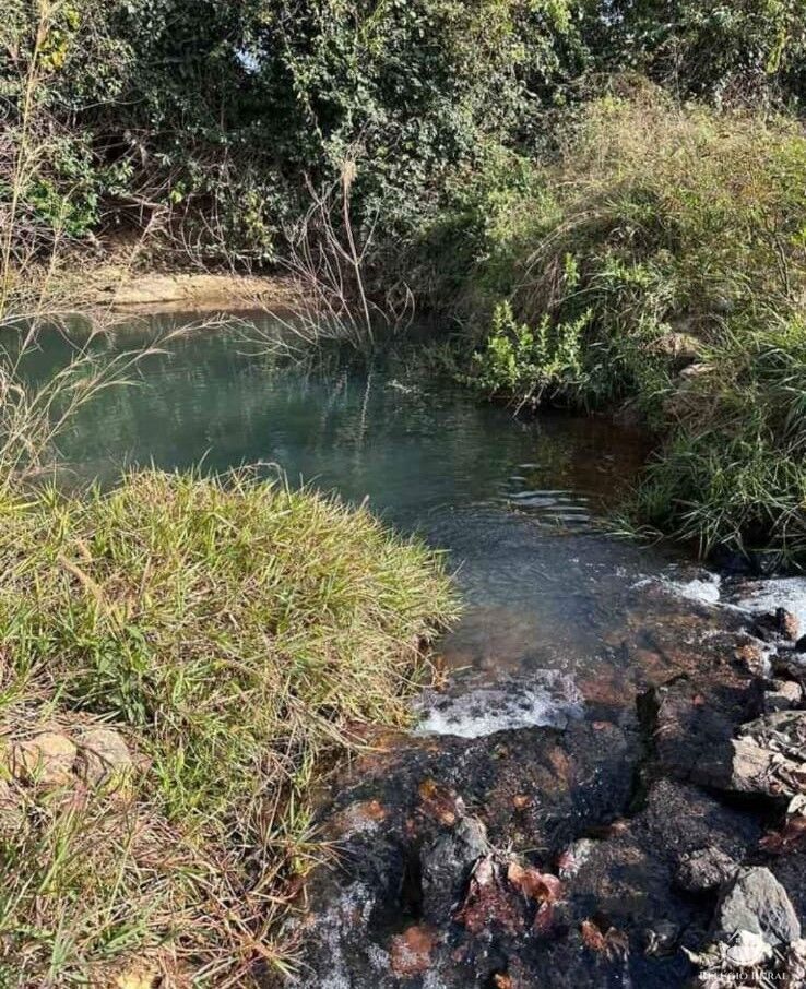 Fazenda à venda com 4 quartos, 34654400m² - Foto 5