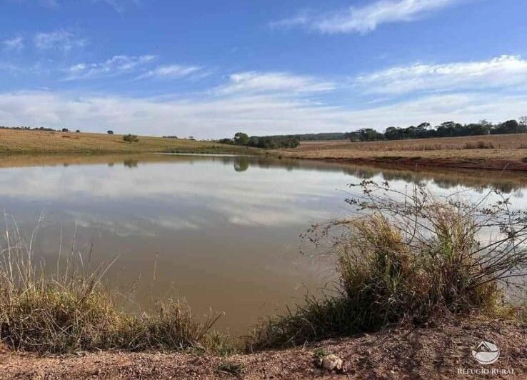 Fazenda à venda com 4 quartos, 34654400m² - Foto 2