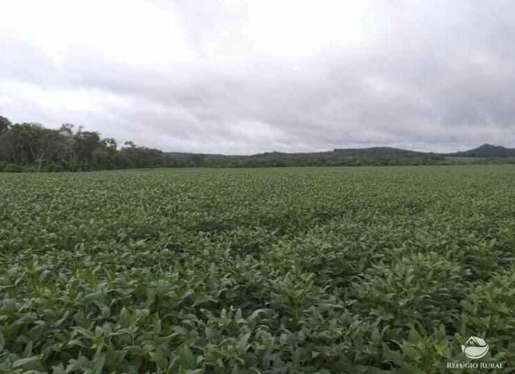 Fazenda à venda com 4 quartos, 34654400m² - Foto 8