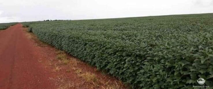 Fazenda à venda com 4 quartos, 34654400m² - Foto 13