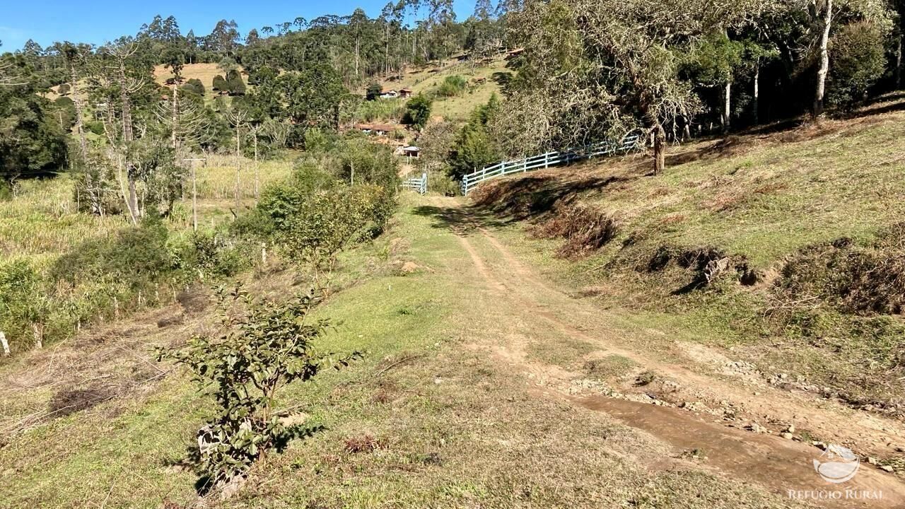 Sítio à venda com 2 quartos, 121000m² - Foto 8