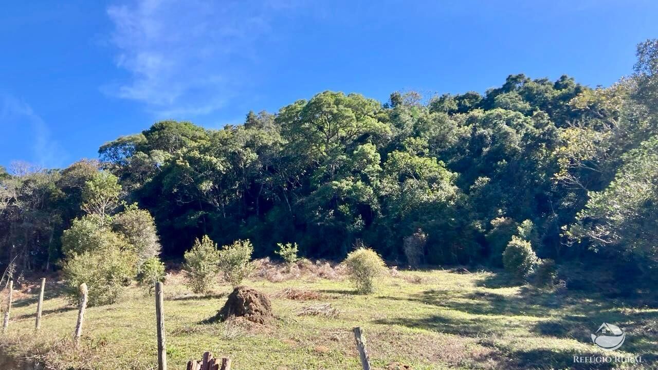 Sítio à venda com 2 quartos, 121000m² - Foto 4
