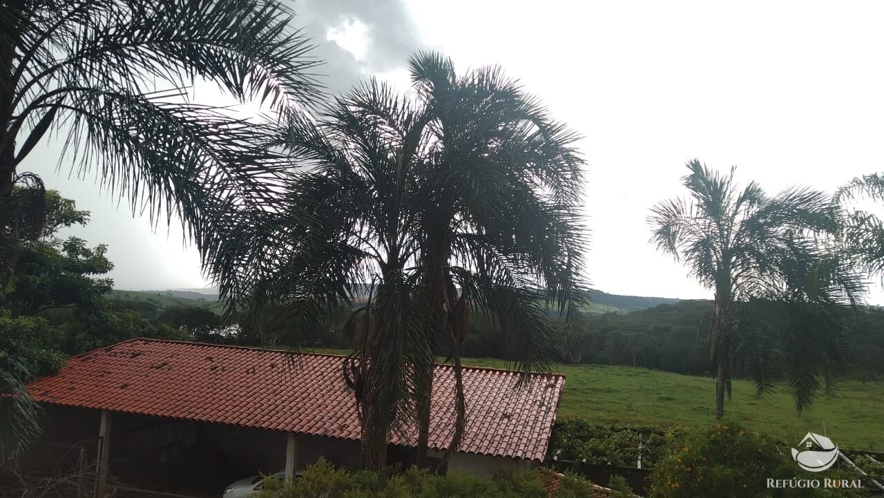 Fazenda à venda com 1 quarto, 580800m² - Foto 13