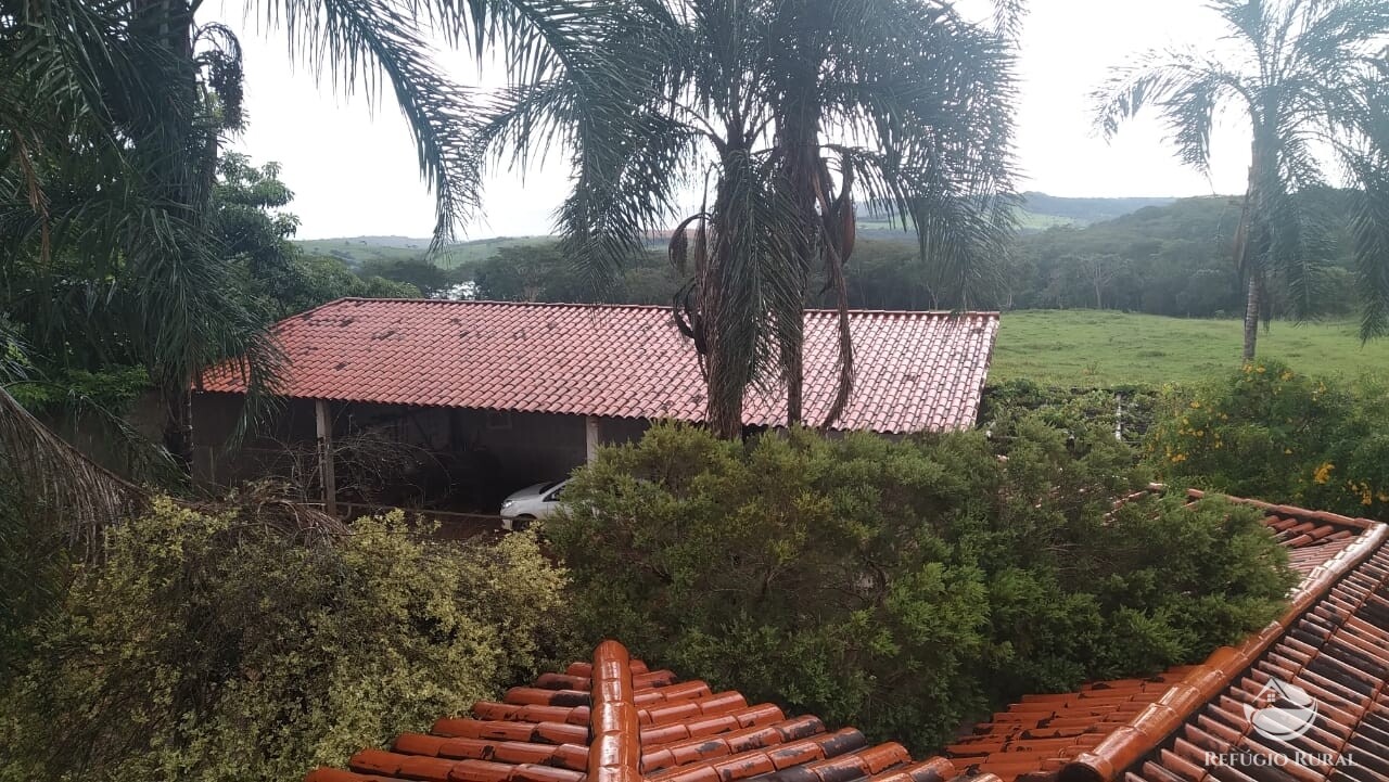 Fazenda à venda com 1 quarto, 580800m² - Foto 15