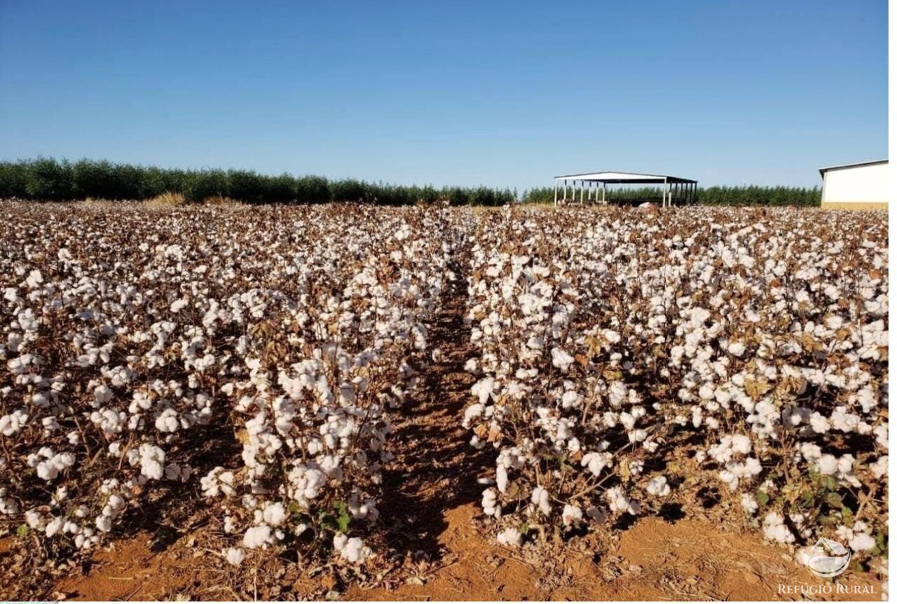 Fazenda à venda com 5 quartos, 178970000m² - Foto 3