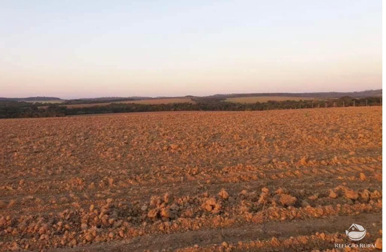 Fazenda à venda com 5 quartos, 178970000m² - Foto 9