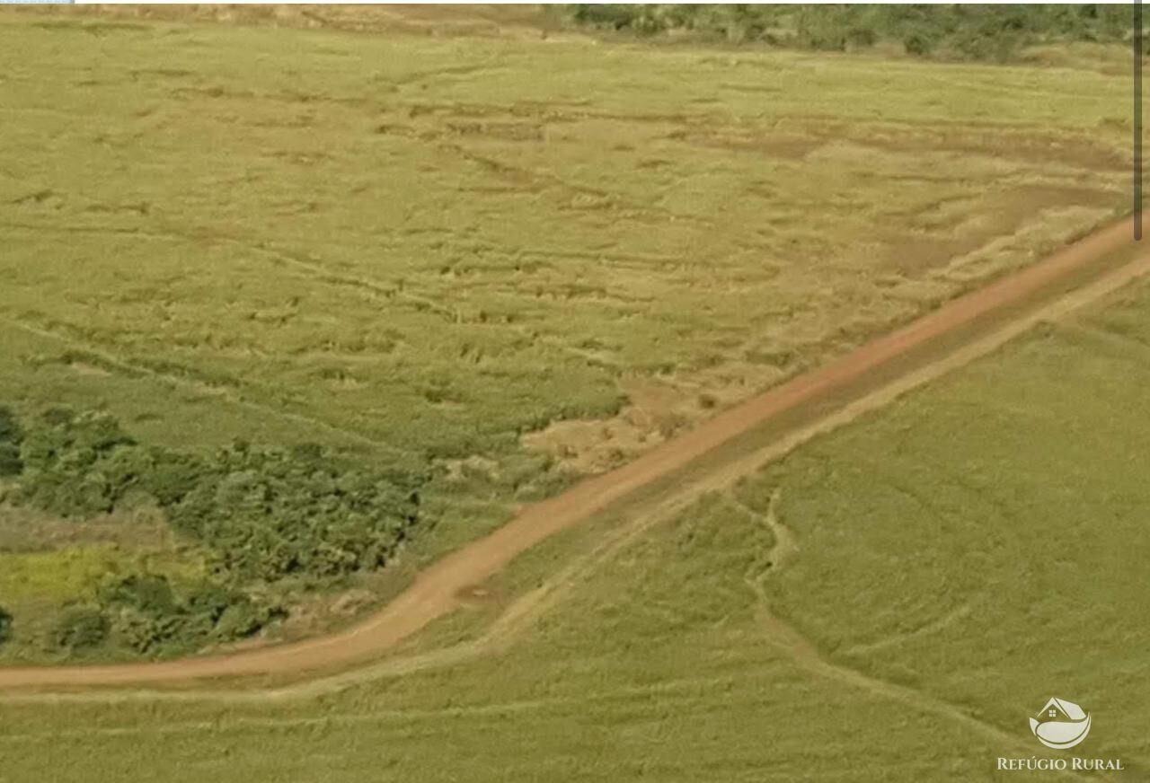 Fazenda à venda com 5 quartos, 178970000m² - Foto 4