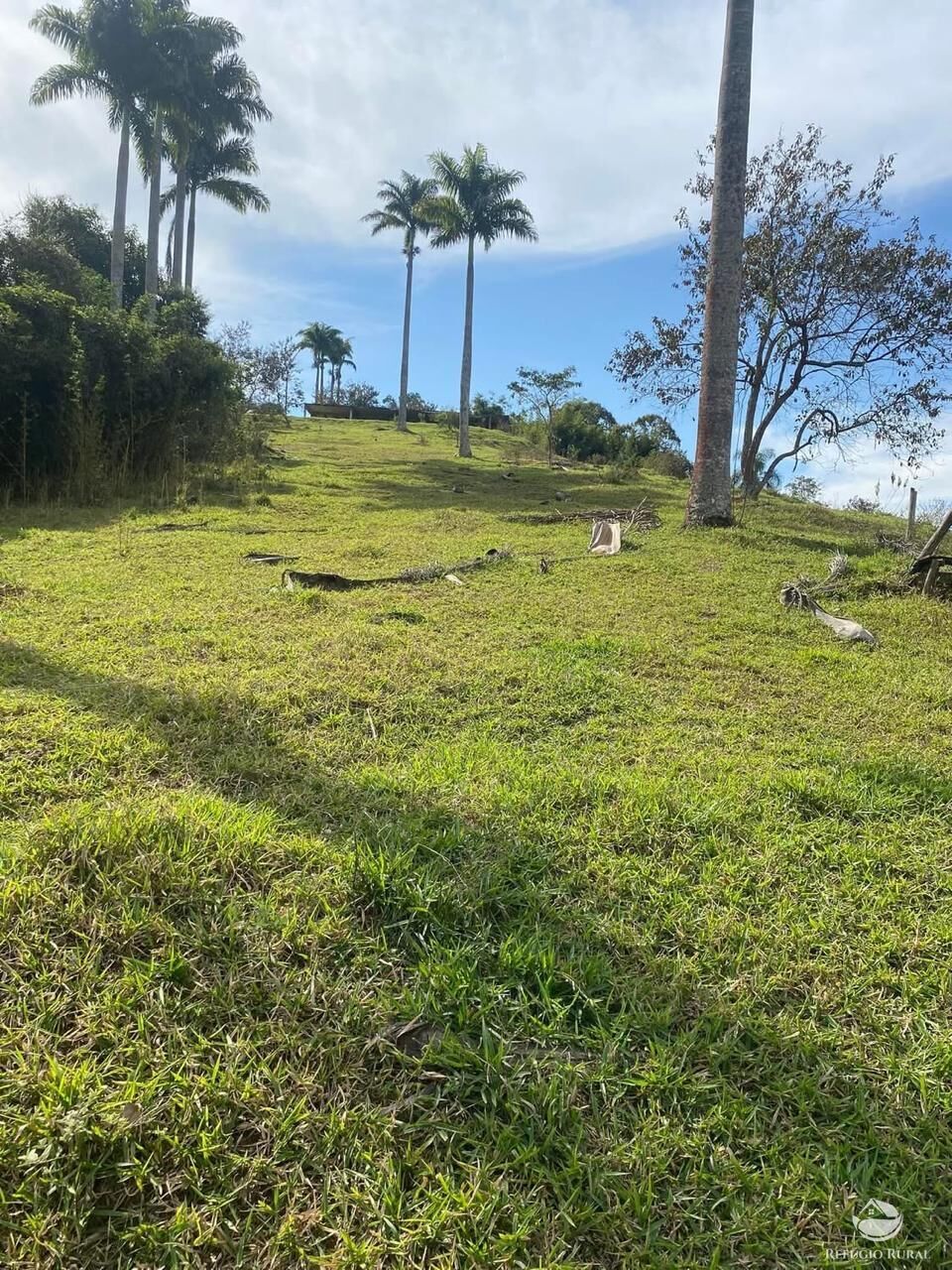 Sítio à venda com 1 quarto, 24000m² - Foto 2