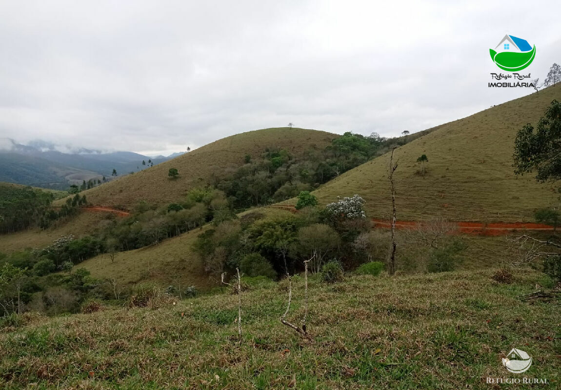 Terreno à venda, 20000m² - Foto 1