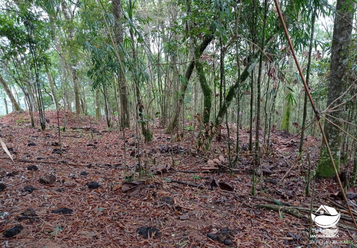 Terreno à venda, 20000m² - Foto 13