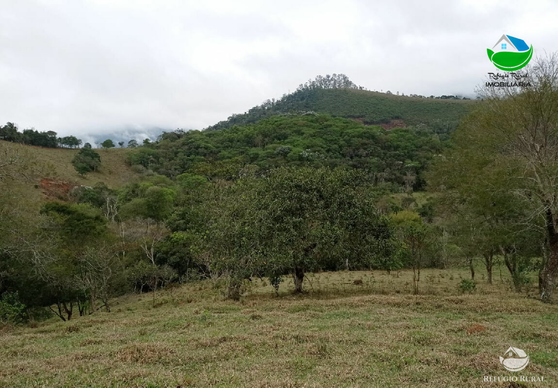 Terreno à venda, 20000m² - Foto 6