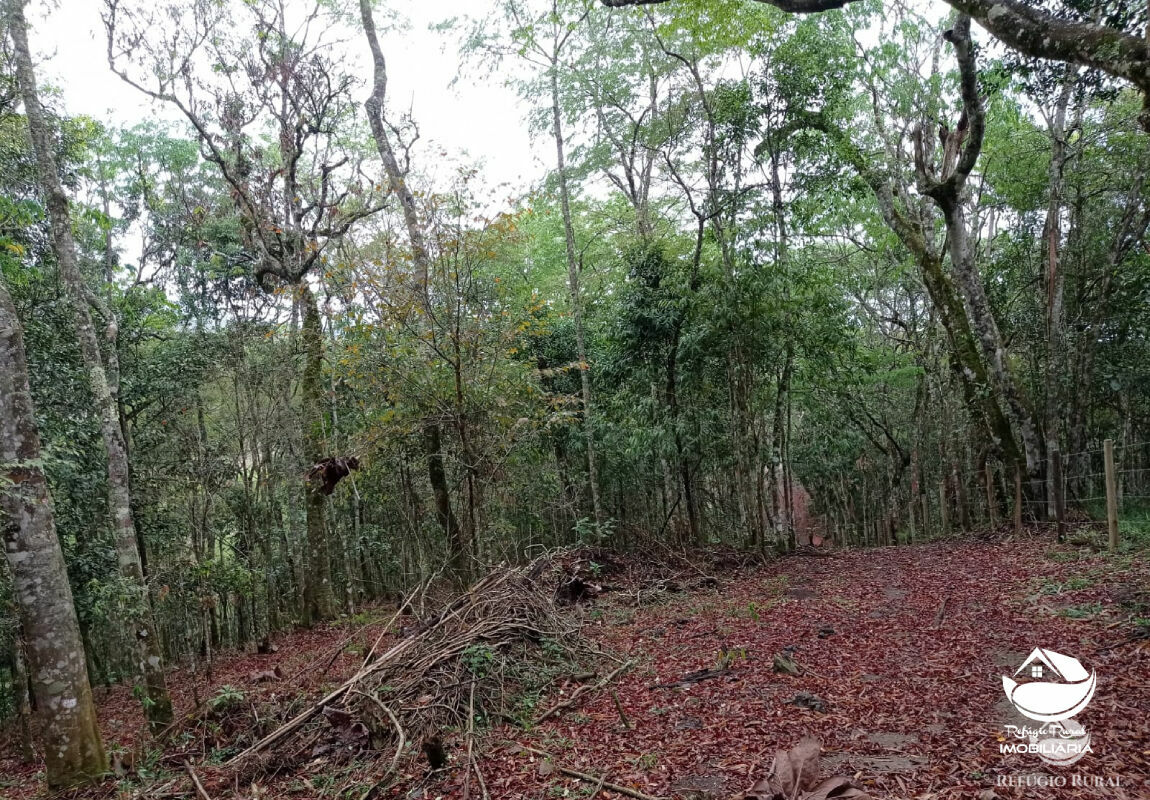 Terreno à venda, 20000m² - Foto 16