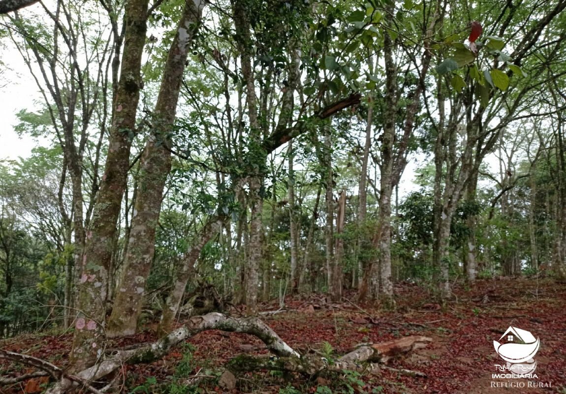 Terreno à venda, 20000m² - Foto 4